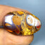 29.32 ct RARE! Cabochon (31.25 x 20.24mm) Australian Koroit Boulder Opal
