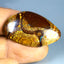 20.01 ct Cabochon (33.67 x 20.29mm) Natural Australian Koroit Boulder Opal
