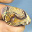 20.01 ct Cabochon (33.67 x 20.29mm) Natural Australian Koroit Boulder Opal