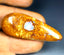 31.62 ct Cabochon (44.57 x 17.57mm) Natural Australian Koroit Boulder Opal