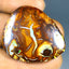 48.75 ct Cabochon (33.87 x 29.22mm) Natural Australian Koroit Boulder Opal