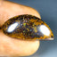 22.76 ct Cabochon (30.31 x 14.31mm) Natural Australian Koroit Boulder Opal