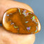 18.07 ct RARE! Premium Cabochon (24.78 x 16.16mm) Australian Boulder Opal