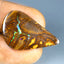 14.89 ct Cabochon (29.65 x 17.94mm) Natural Australian Koroit Boulder Opal