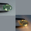 0.31 ct Remarkable Oval (5.73 x 3.81mm) Unheated Green Natural Alexandrite