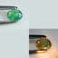0.30 ct Oval (4.89 x 3.74 mm) Green Natural Unheated Alexandrite Gemstone
