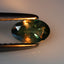 0.30 ct Oval (5.84 x 3.68 mm) Green Natural Unheated Alexandrite Gemstone