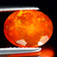 1.43 ct Unbelievable Oval(10.18 x 8.05 mm)Heated Orange Fire Opal Loose Gemstone