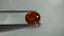 3.84 ct Oval (9.90 x 7.75 mm) Natural Mandarin Fanta Orange Spessartite Garnet