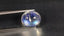 2.63 ct Topnotch Oval Cabochon (9.84 x 8.01 mm) Natural Rainbow Blue Moonstone