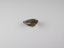 1.83 ct AIG Certified Pear (9.62 x 6.73 mm) Natural Yellow Tanzanite