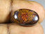 7.95 ct Fancy (17.68 x 11.39mm) Natural Australian Koroit Boulder Opal