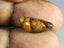 3.68 ct Fancy (16.32 x 6.98mm) Natural Australian Koroit Boulder Opal