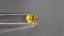 1.51 ct Oval (7.22 x 5.90 mm) Heated Natural Sri Lanka Yellow Sapphire Gemstone