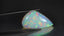 19.27 ct Fancy Cabochon (28.20 x 15.93 mm) Natural Play of Colors Rainbow Opal