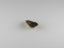 1.68 ct AIG Certified Pear (9.50 x 6.76 mm) Brownish Yellow Tanzanite