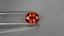 3.07 ct Oval (9.26 x 6.94 mm) Natural Mandarin Fanta Orange Spessartite Garnet