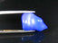 7.26 ct Fancy (18.78 x 12.65 mm) Ethiopia Play of Colors Natural Blue Opal