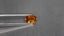 1.06 ct Oval (7.55 x 5.24 mm) Heated Natural Sri Lanka Yellow Sapphire Gemstone
