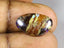 4.24 ct Premium Fancy (17.22 x 10.58mm) Natural Australian Boulder Opal