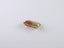 1.74 ct Octagon (9.17 x 5.91 mm) Unheated Mozambique Bi-Color Tourmaline