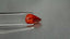 2.43 ct Pear (9.48 x 5.97 mm) Natural Mandarin Fanta Orange Spessartite Garnet