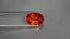 3.97 ct Oval (10.16 x 7.30 mm) Natural Mandarin Fanta Orange Spessartite Garnet