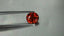 2.35 ct Oval (8.10 x 7.53 mm) Natural Mandarin Fanta Orange Spessartite Garnet