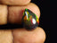 6.10 ct Pear Cabochon (16.08 x 12.12 mm) Ethiopian Flashing Black Opal