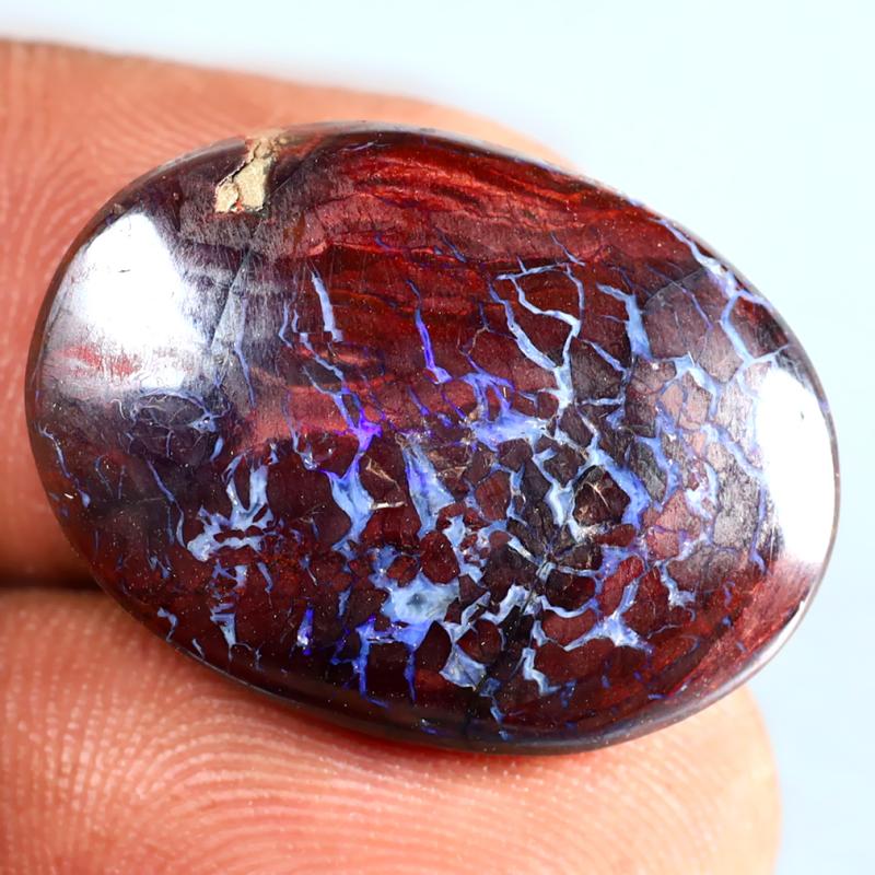 14.50 ct Eye-catching Fancy Shape (23 x 17 mm) Multi Color Australian Koroit Boulder Opal Natural Loose Gemstone
