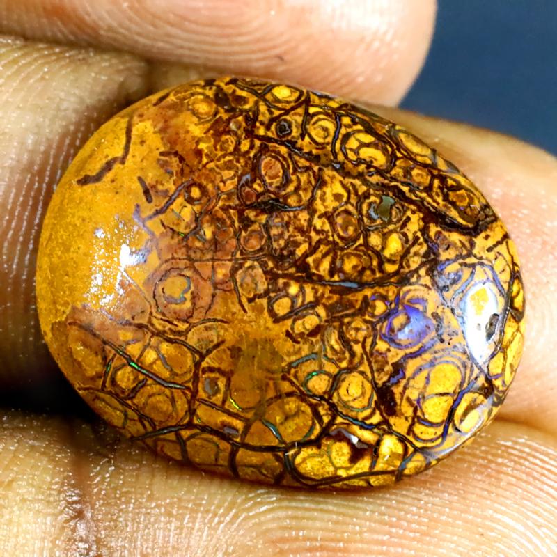 12.33 ct Super-Excellent Fancy Shape (21 x 17 mm) Multi Color Australian Koroit Boulder Opal Natural Loose Gemstone