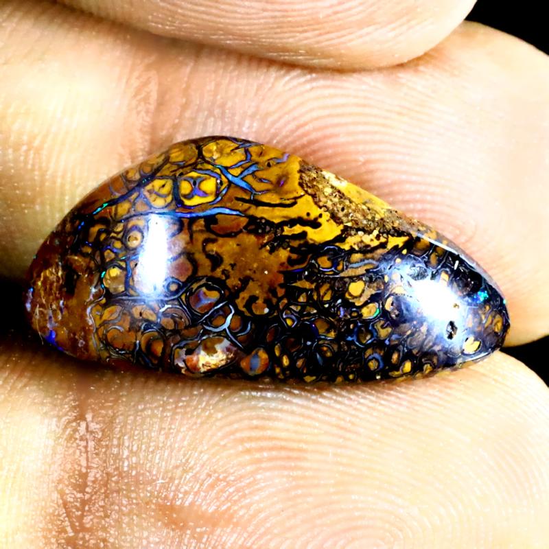 14.62 ct Sparkling Fancy Shape (24 x 12 mm) Multi Color Australian Koroit Boulder Opal Natural Loose Gemstone
