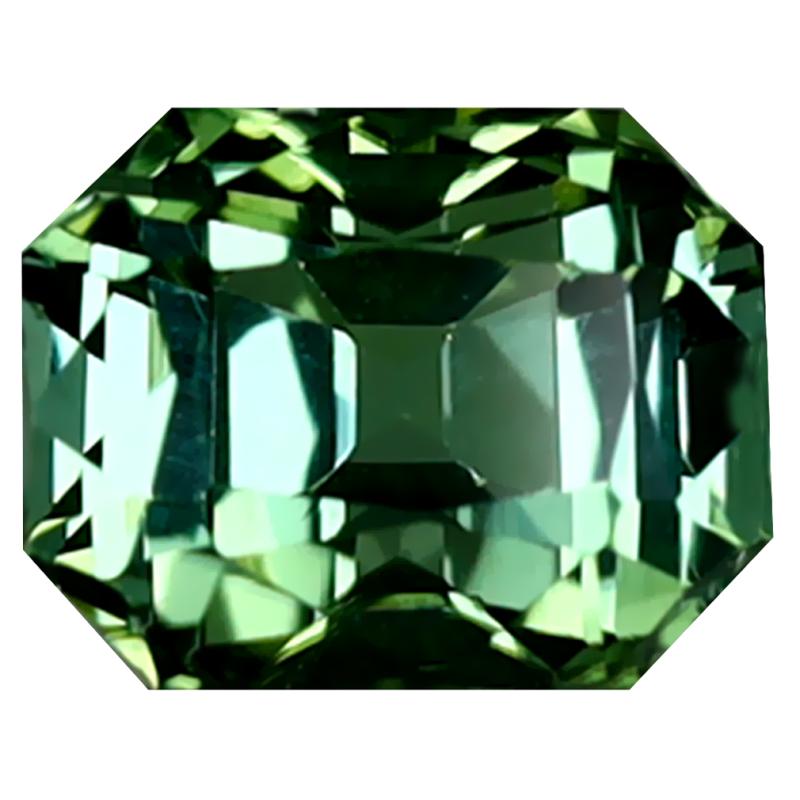 1.53 ct Lovely Octagon Cut (7 x 5 mm) Mozambique Green Tourmaline Natural Gemstone