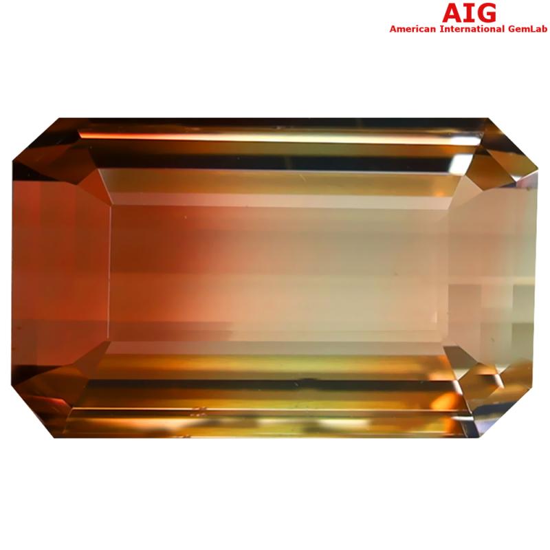 7.80 ct AIG CERTIFIED TREMENDOUS OCTAGON CUT (14 X 9 MM) UNHEATED / UNTREATED MOZAMBIQUE BI-COLOR TOURMALINE NATURAL STONE
