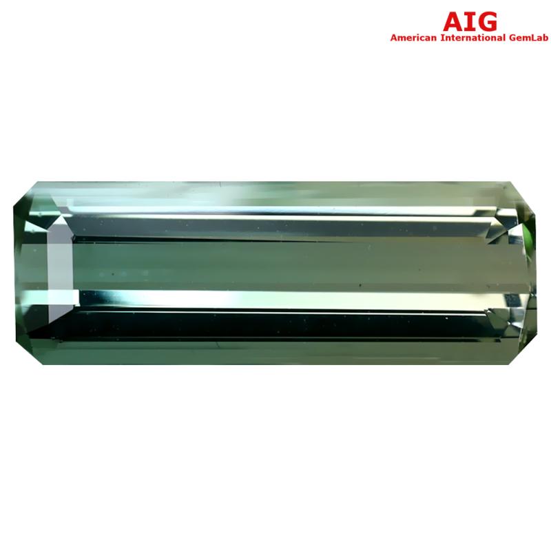 7.33 ct AIG Certified Magnificent Octagon Shape (20 x 7 mm) Bi Color Tourmaline Natural Gemstone