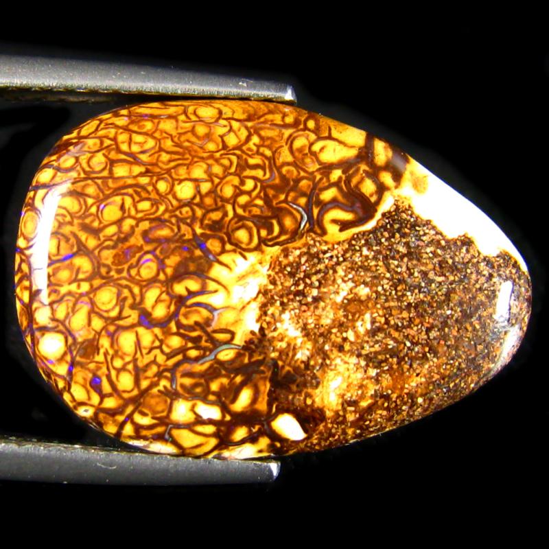 7.85 ct Magnificent Fancy Shape (20 x 14 mm) Multi Color Australian Koroit Boulder Opal Natural Loose Gemstone