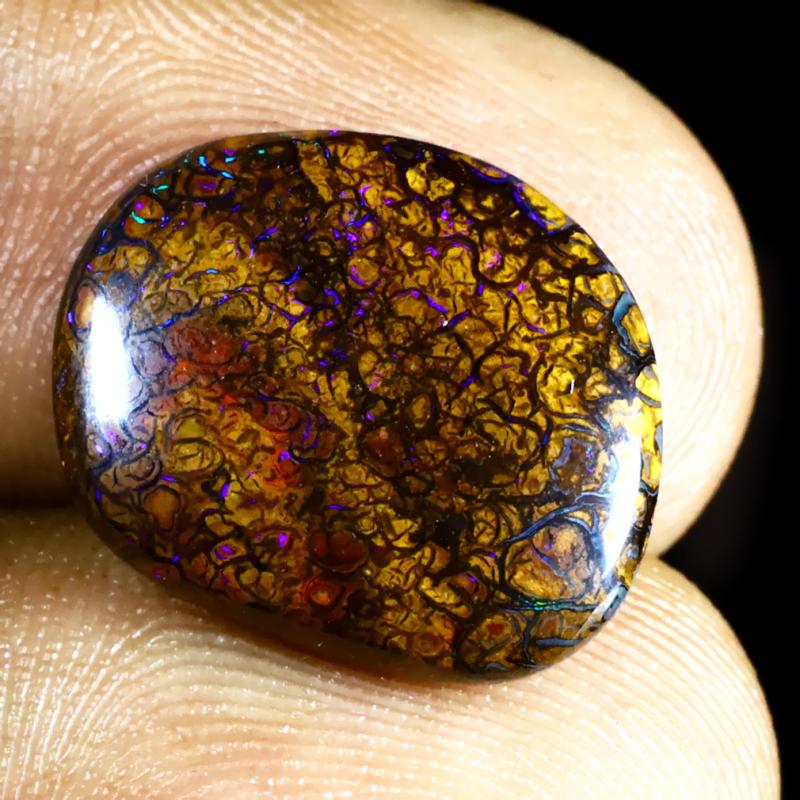 9.29 ct Outstanding Fancy Shape (16 x 13 mm) Multi Color Australian Koroit Boulder Opal Natural Loose Gemstone